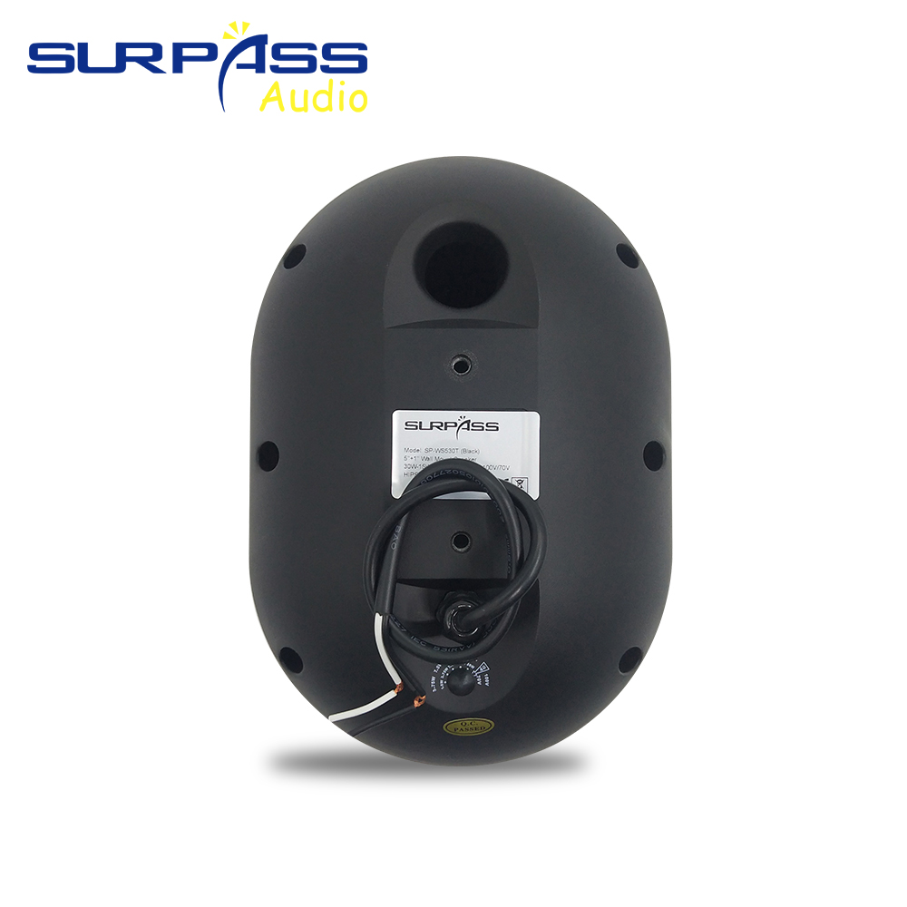 Alto-falante de parede 30w, à  - Audio Music For Background avaliação e preço